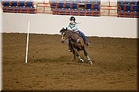 4H-State-2016-0129.jpg