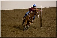 4H-State-2016-0157.jpg