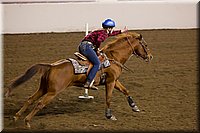 4H-State-2016-0161.jpg