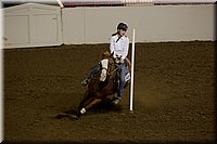 4H-State-2016-0244.jpg