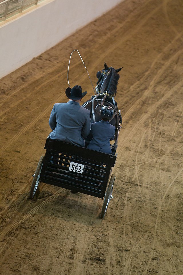 4H-State-2016-0039.jpg