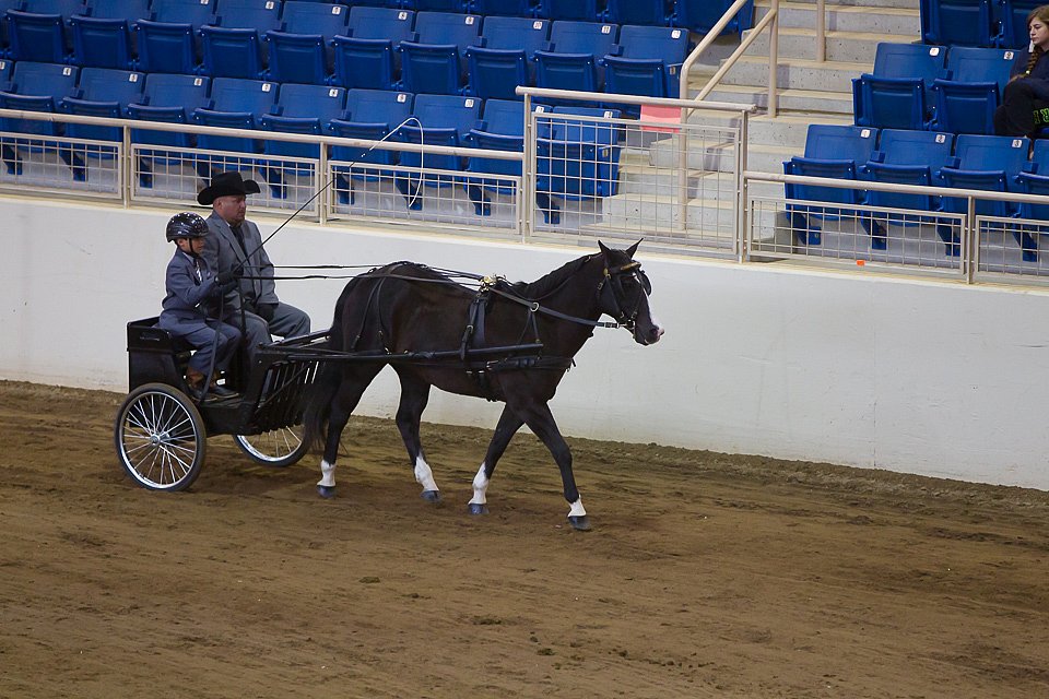 4H-State-2016-0044.jpg