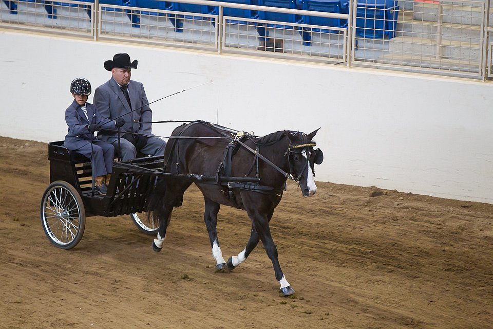 4H-State-2016-0050.jpg