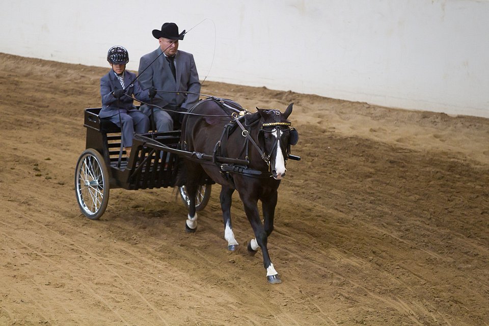 4H-State-2016-0051.jpg