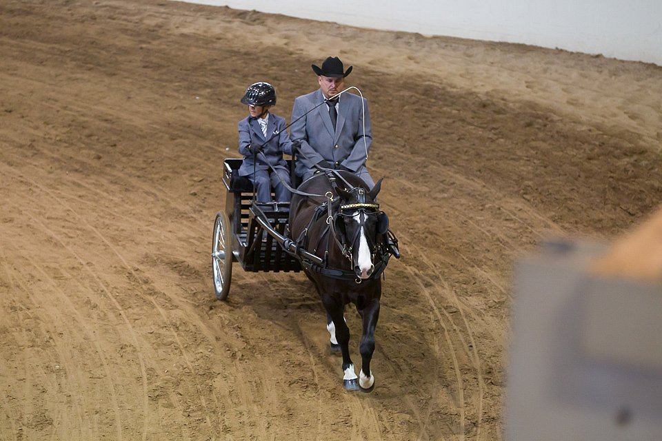 4H-State-2016-0052.jpg