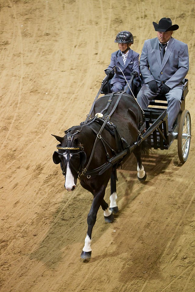 4H-State-2016-0053.jpg