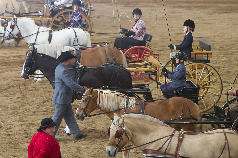 4H-State-2016-0054.jpg
