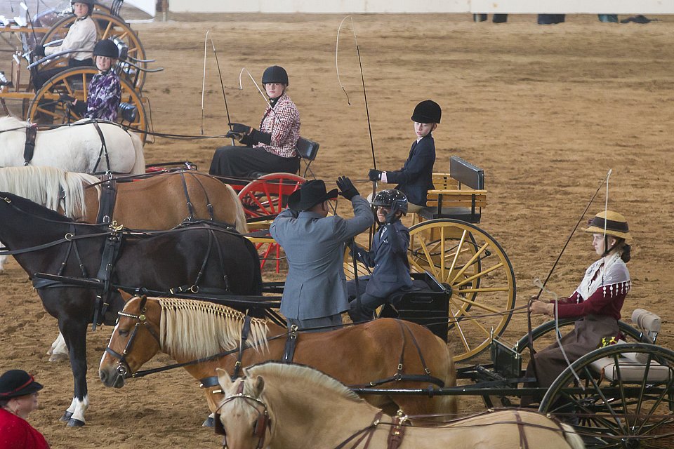 4H-State-2016-0055.jpg