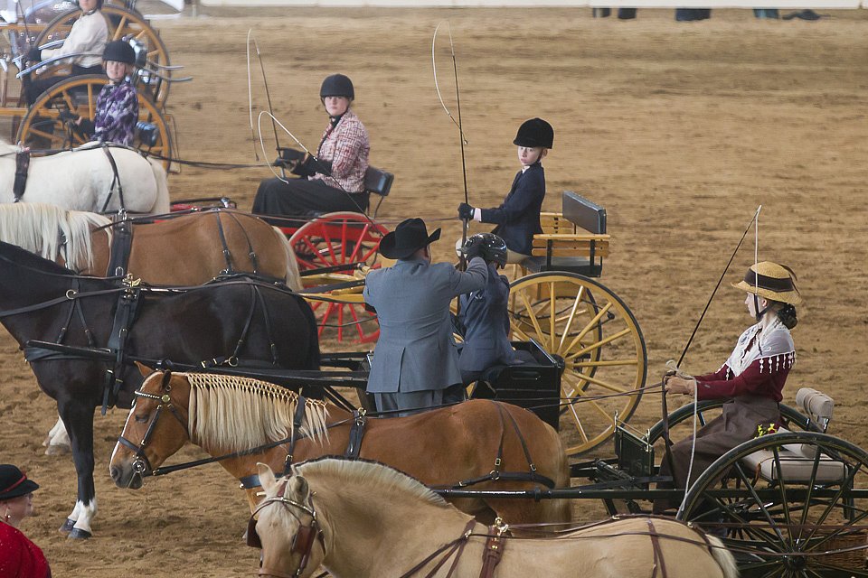 4H-State-2016-0056.jpg