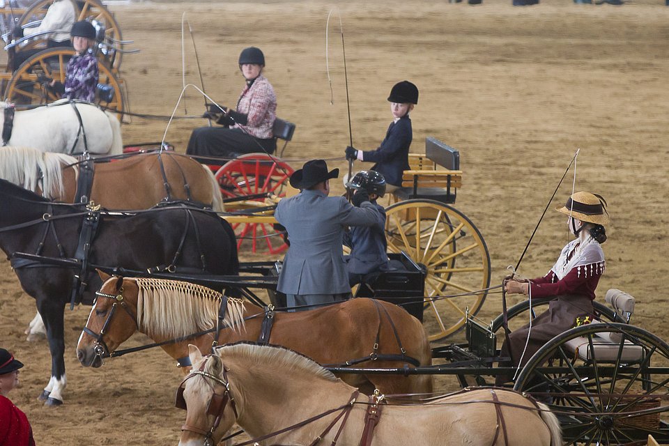 4H-State-2016-0057.jpg