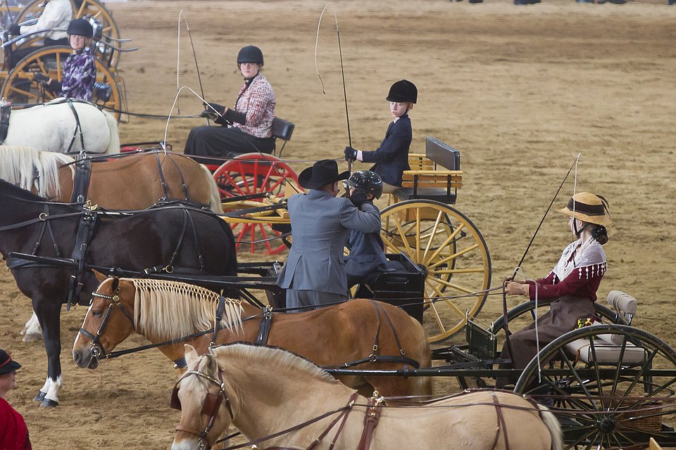 4H-State-2016-0058.jpg