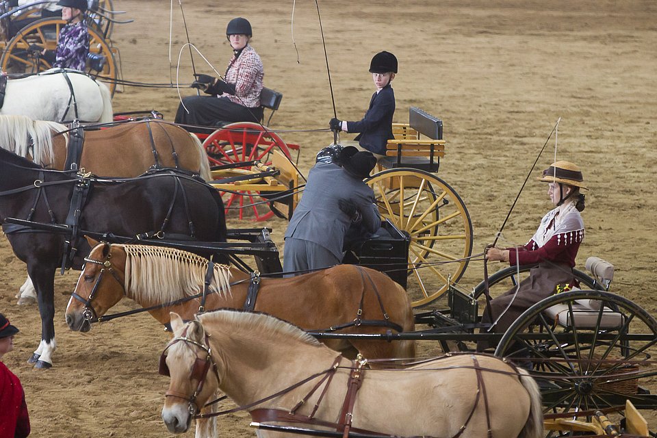 4H-State-2016-0059.jpg
