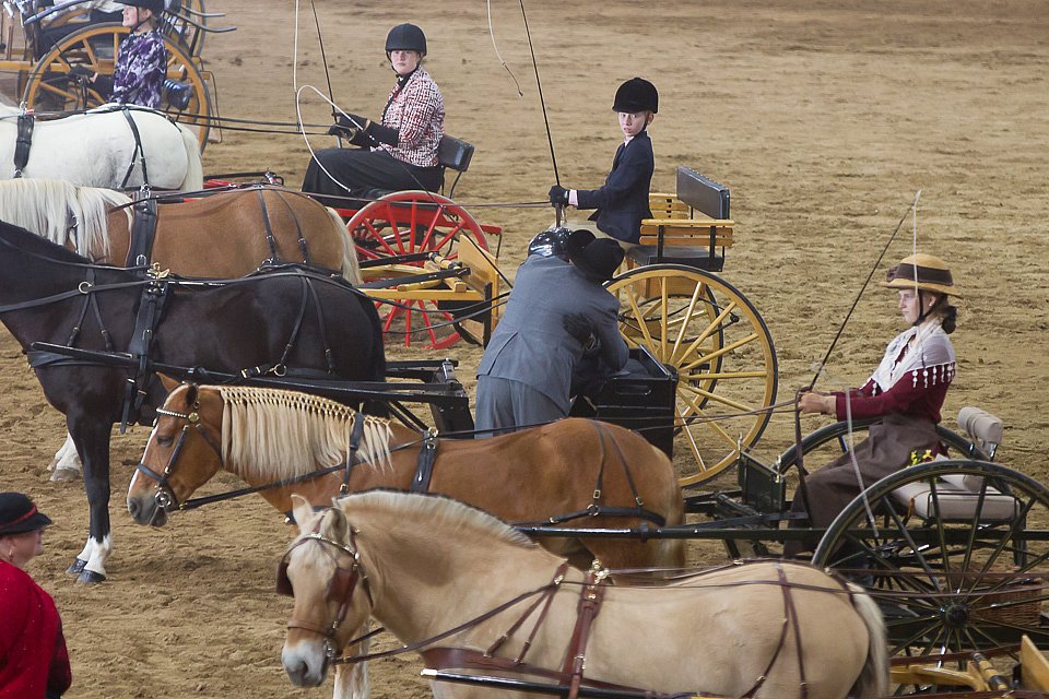 4H-State-2016-0060.jpg