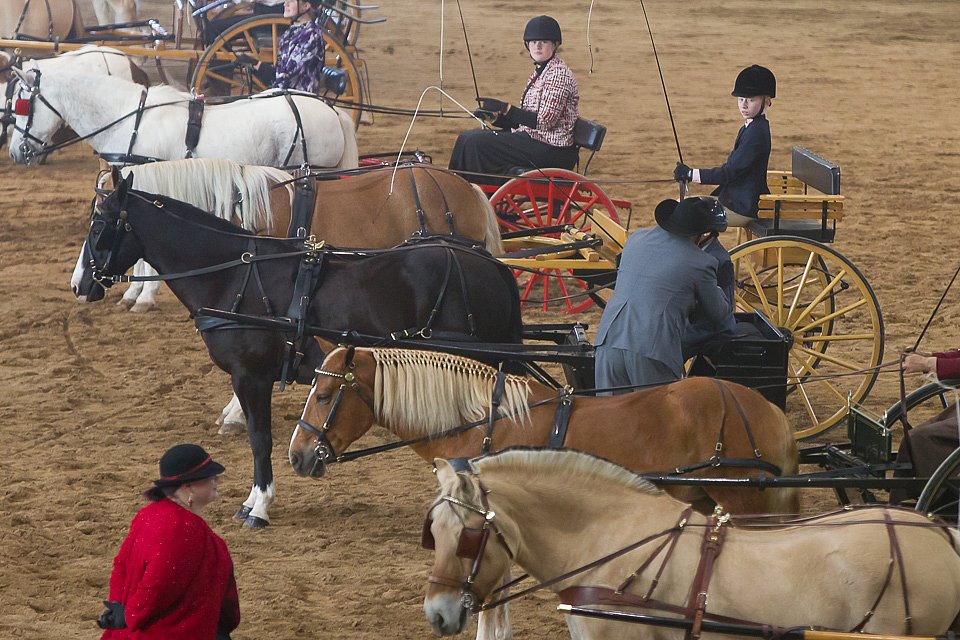 4H-State-2016-0062.jpg