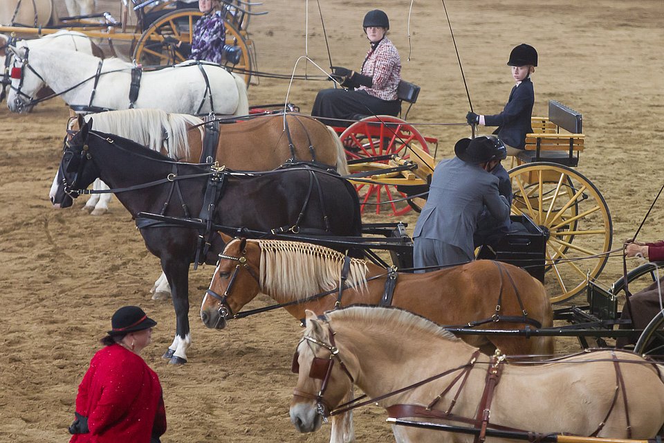 4H-State-2016-0063.jpg