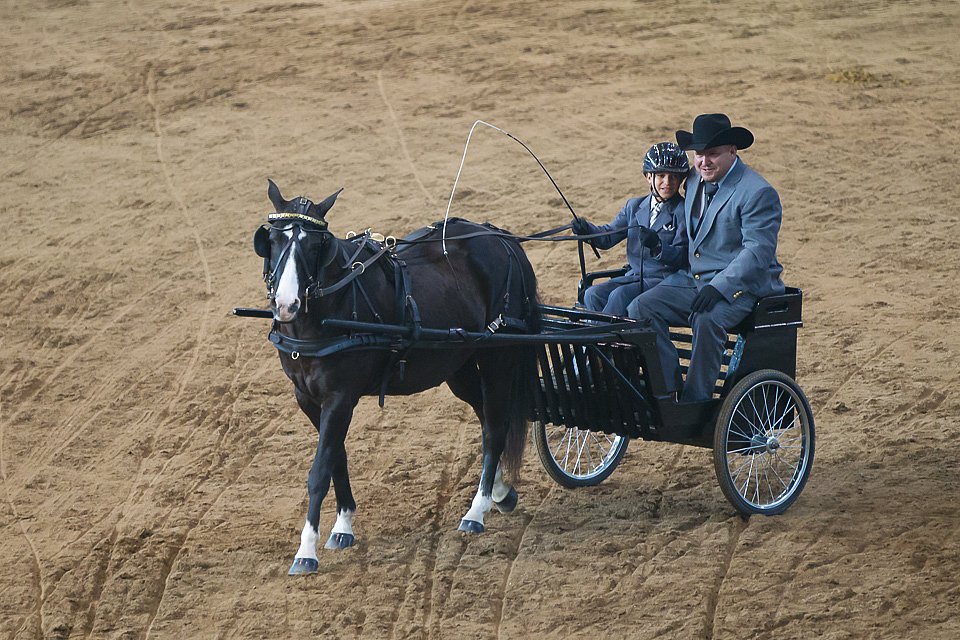 4H-State-2016-0064.jpg