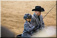 4H-State-2016-0001.jpg