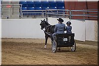 4H-State-2016-0002.jpg