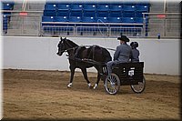 4H-State-2016-0004.jpg