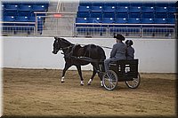 4H-State-2016-0005.jpg