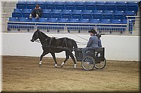 4H-State-2016-0006.jpg