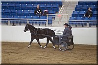 4H-State-2016-0007.jpg