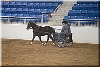 4H-State-2016-0008.jpg