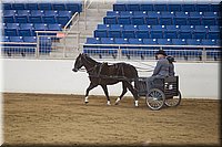 4H-State-2016-0009.jpg