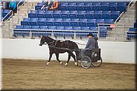 4H-State-2016-0010.jpg