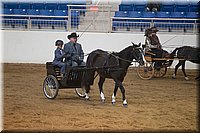 4H-State-2016-0011.jpg