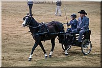 4H-State-2016-0014.jpg