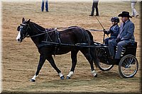 4H-State-2016-0015.jpg