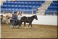 4H-State-2016-0016.jpg