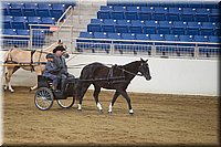 4H-State-2016-0017.jpg