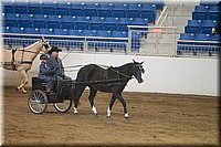 4H-State-2016-0018.jpg