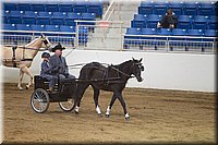 4H-State-2016-0019.jpg