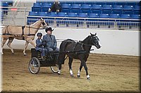 4H-State-2016-0020.jpg