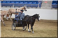 4H-State-2016-0021.jpg