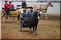 4H-State-2016-0023.jpg