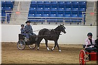 4H-State-2016-0026.jpg