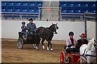 4H-State-2016-0027.jpg