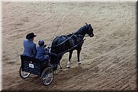 4H-State-2016-0030.jpg