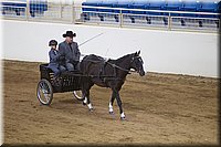 4H-State-2016-0031.jpg