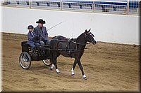 4H-State-2016-0033.jpg