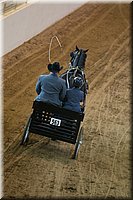 4H-State-2016-0039.jpg