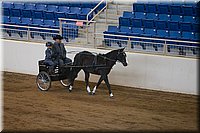 4H-State-2016-0043.jpg