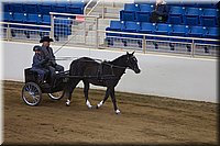 4H-State-2016-0045.jpg