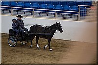 4H-State-2016-0046.jpg