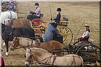 4H-State-2016-0059.jpg