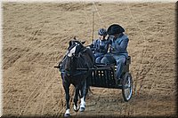 4H-State-2016-0065.jpg